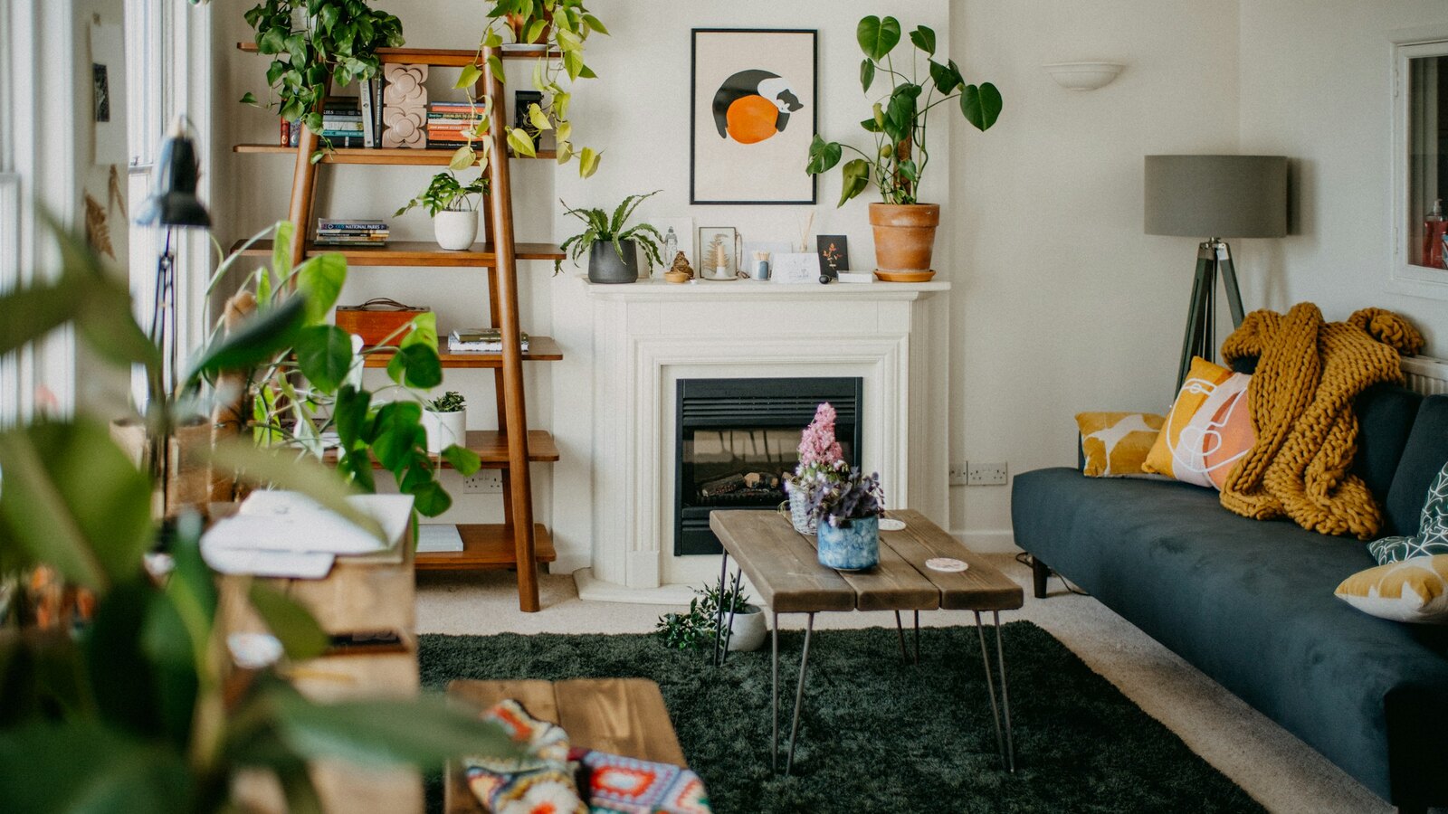 A cosy sitting room with plants, a calm space to settle into for an online session